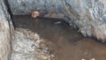 Bunker