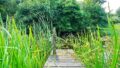 Teich