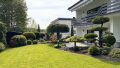 Gartenimpressionen