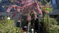 Gartenansicht