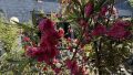 Rückansicht vom Gartenbereich