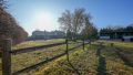 Gartenbereich 2