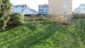 Gemeinschaftsgarten hinter dem Haus