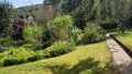 Garten im Sommer