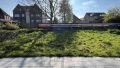 Blick in den Garten