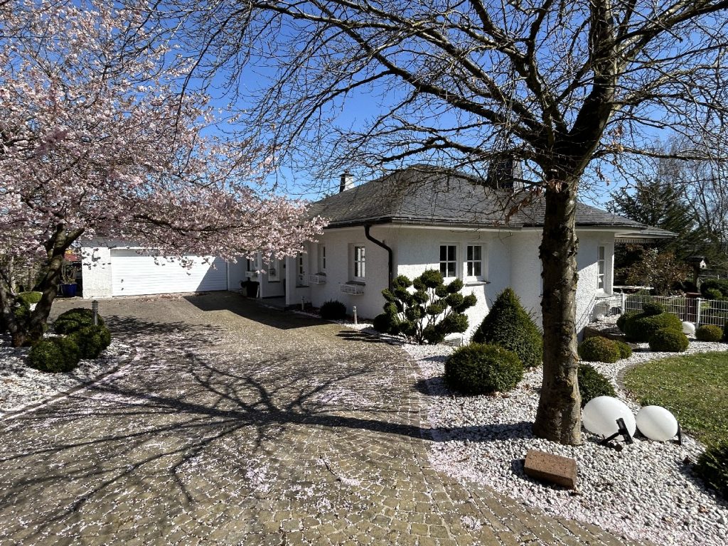 Ansicht Eingang und Garage