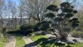 Zufahrt Garten