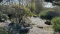 Gartenteich