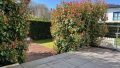 Terrasse und Garten