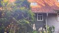 12-bearbeitet