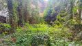 IMG_20250515_131422-bearbeitet