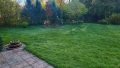 Blick in den Garten