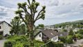 ...Panoramablick über den Ort
