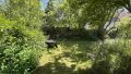 Blick in den Garten