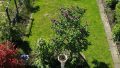 Gartenüberblick