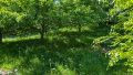 separates Gartengrundstück