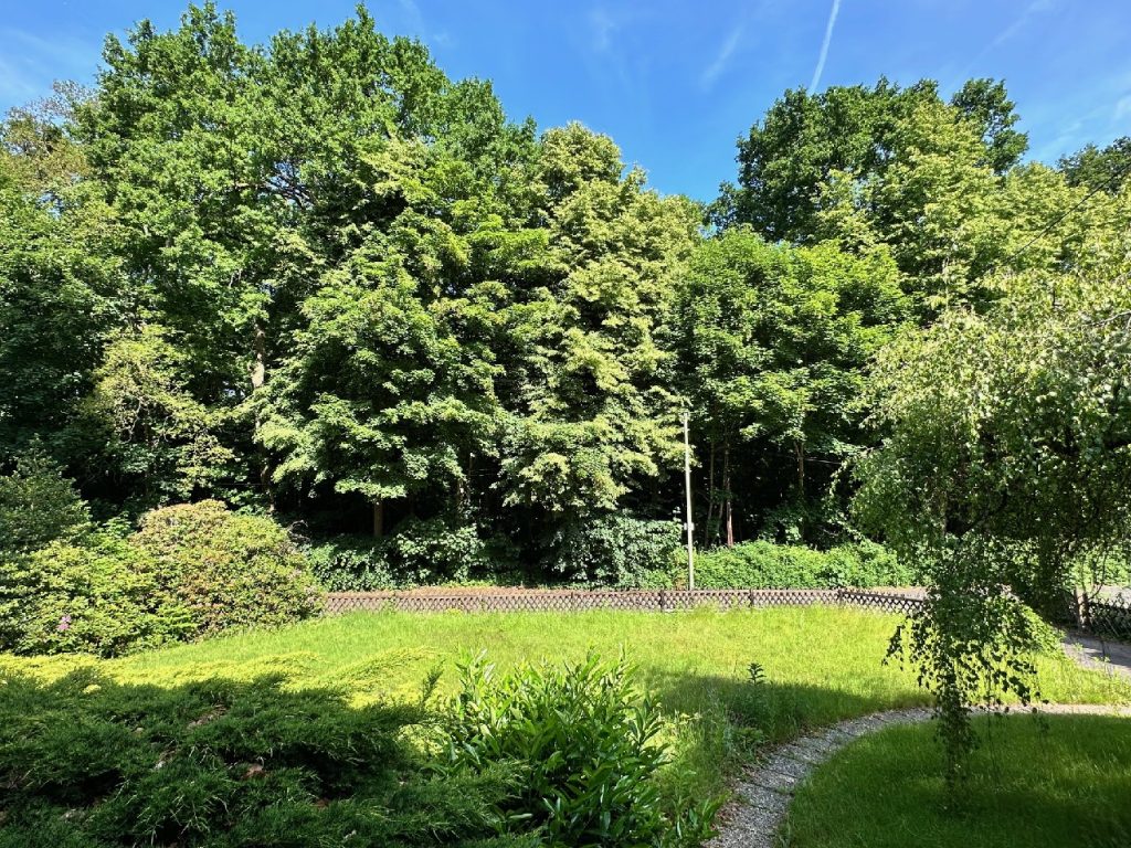 Grundstücksansicht 1