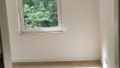 Bild4