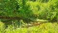 Bachlauf