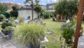 Blick in den Garten