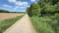 Wirtschaftsweg