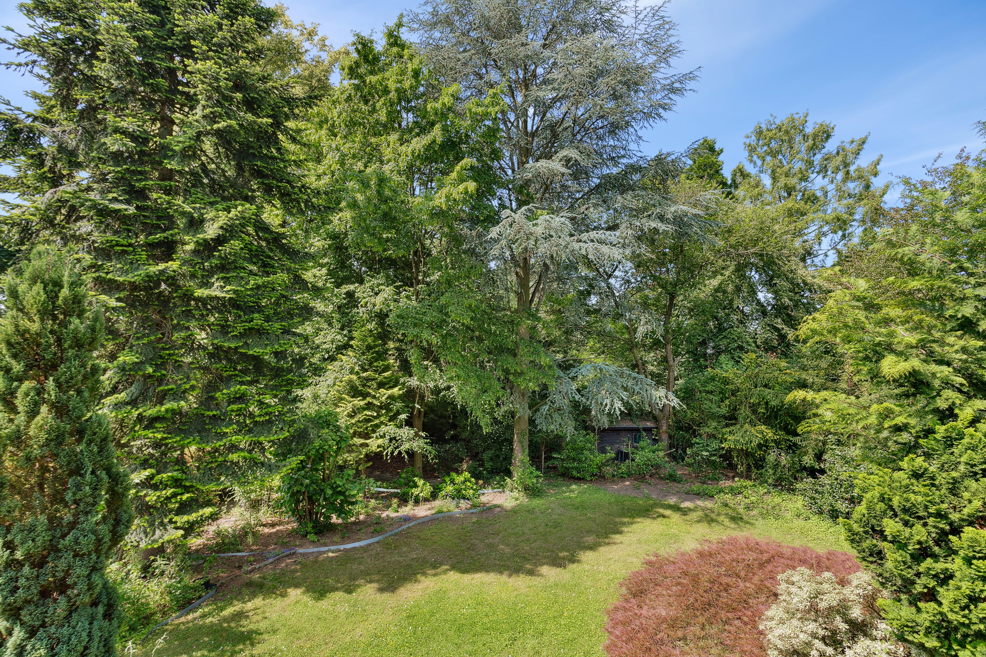 Foto der Immobilie (109712)