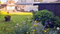 Blick in den Garten