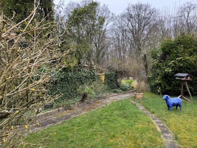 Foto der Immobilie (116029)