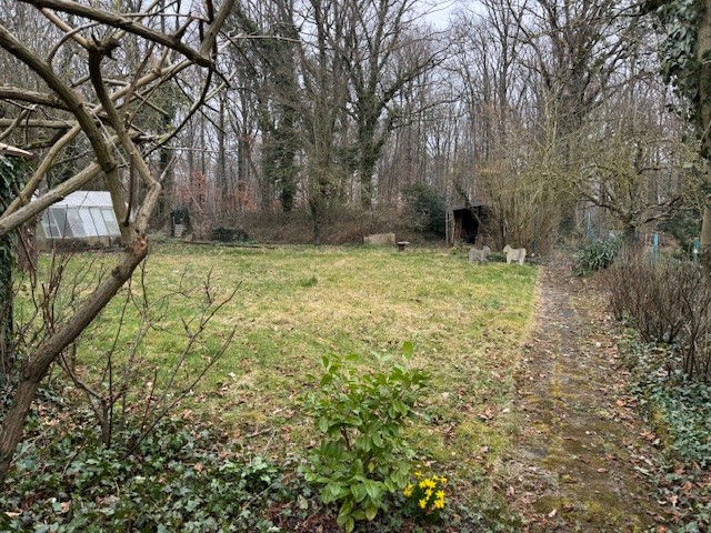 Foto der Immobilie (116030)