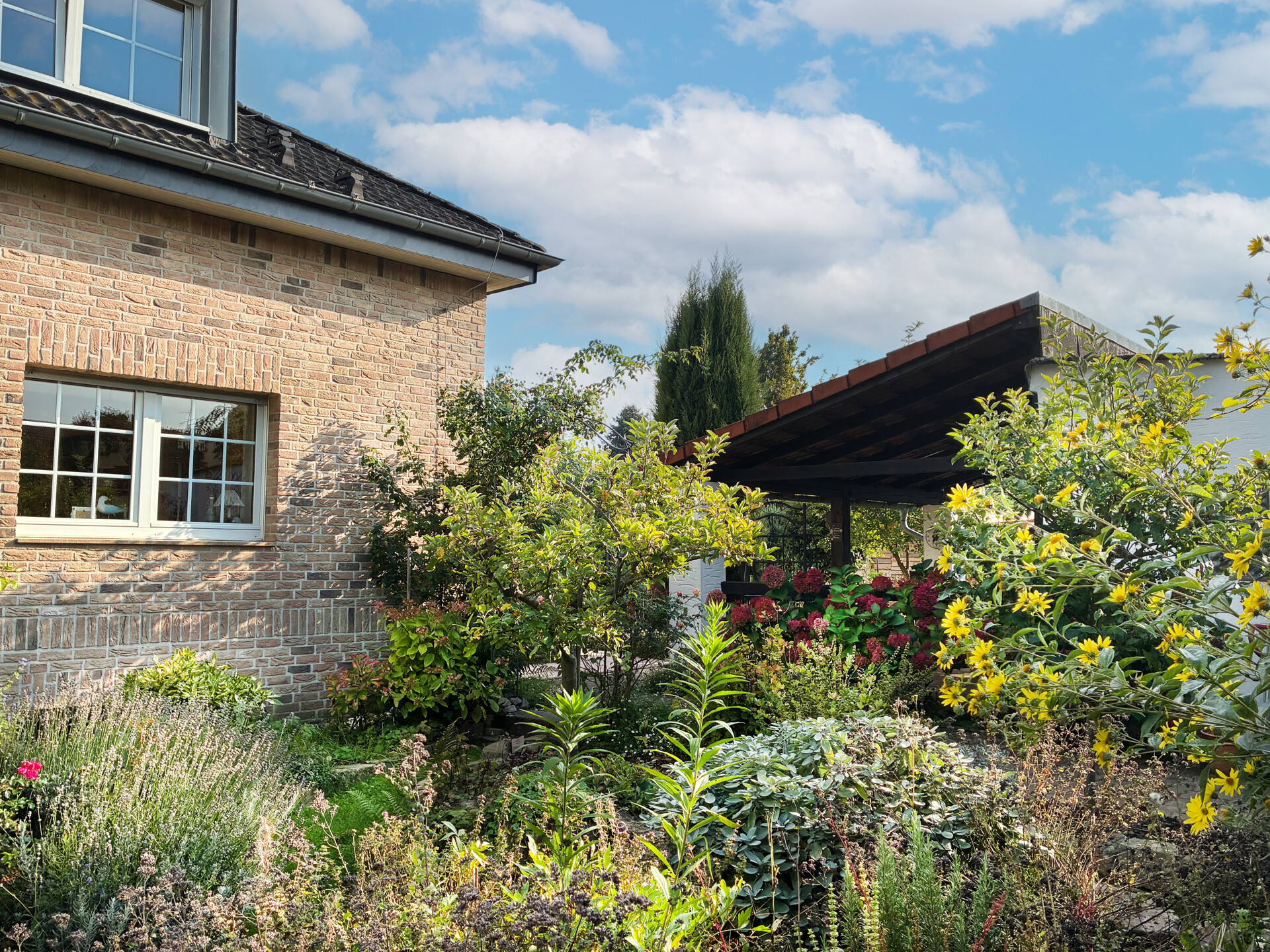 Foto der Immobilie (117217)