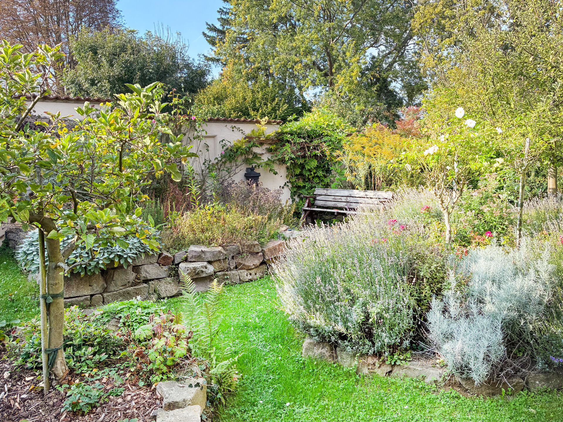 Foto der Immobilie (117218)