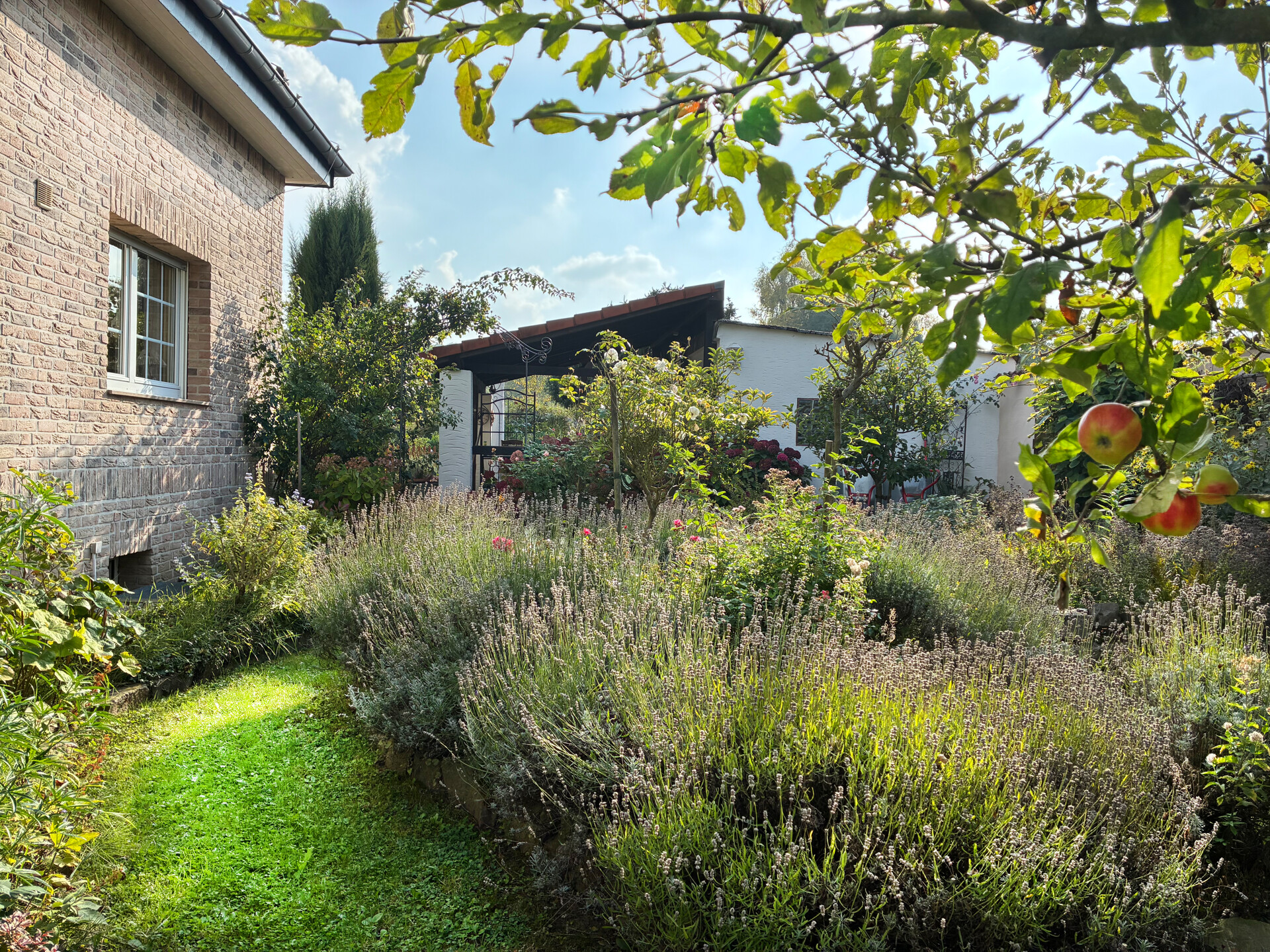 Foto der Immobilie (117219)