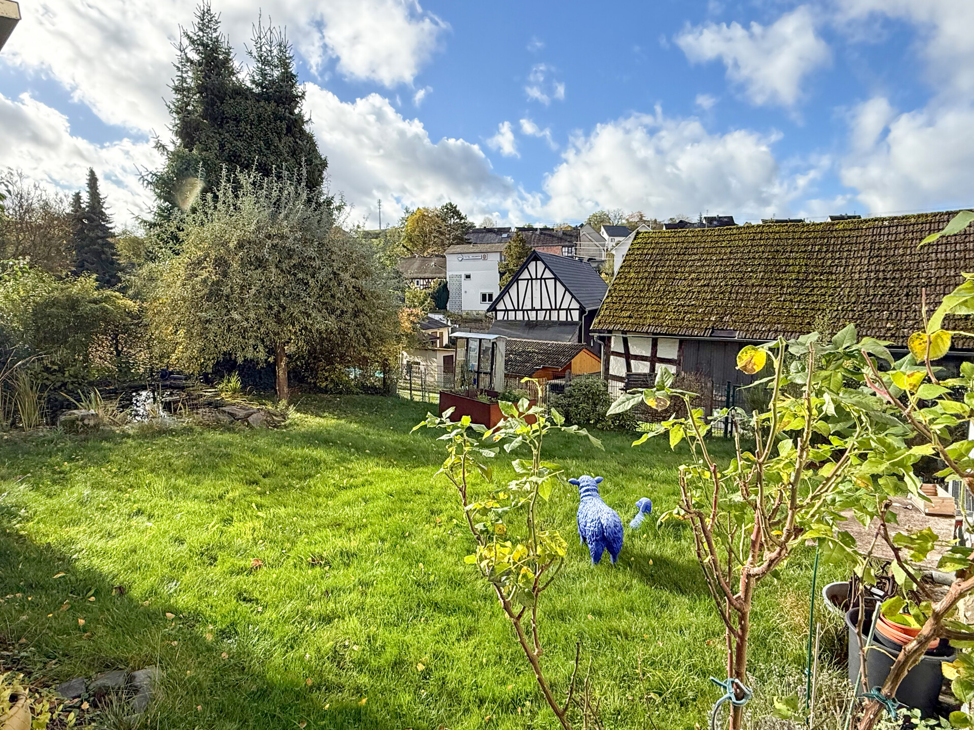 Gartenansicht mit Teich