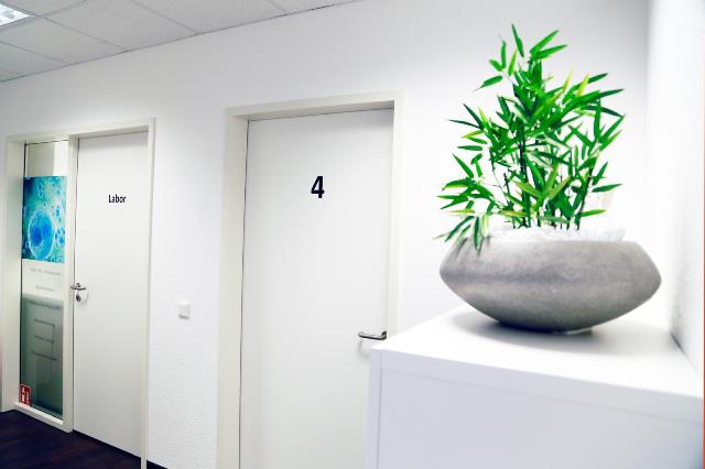 Foto der Immobilie (117424)