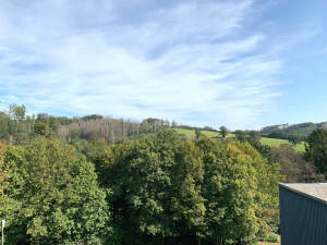 Wohnzimmer mit Zugang zum Balkon