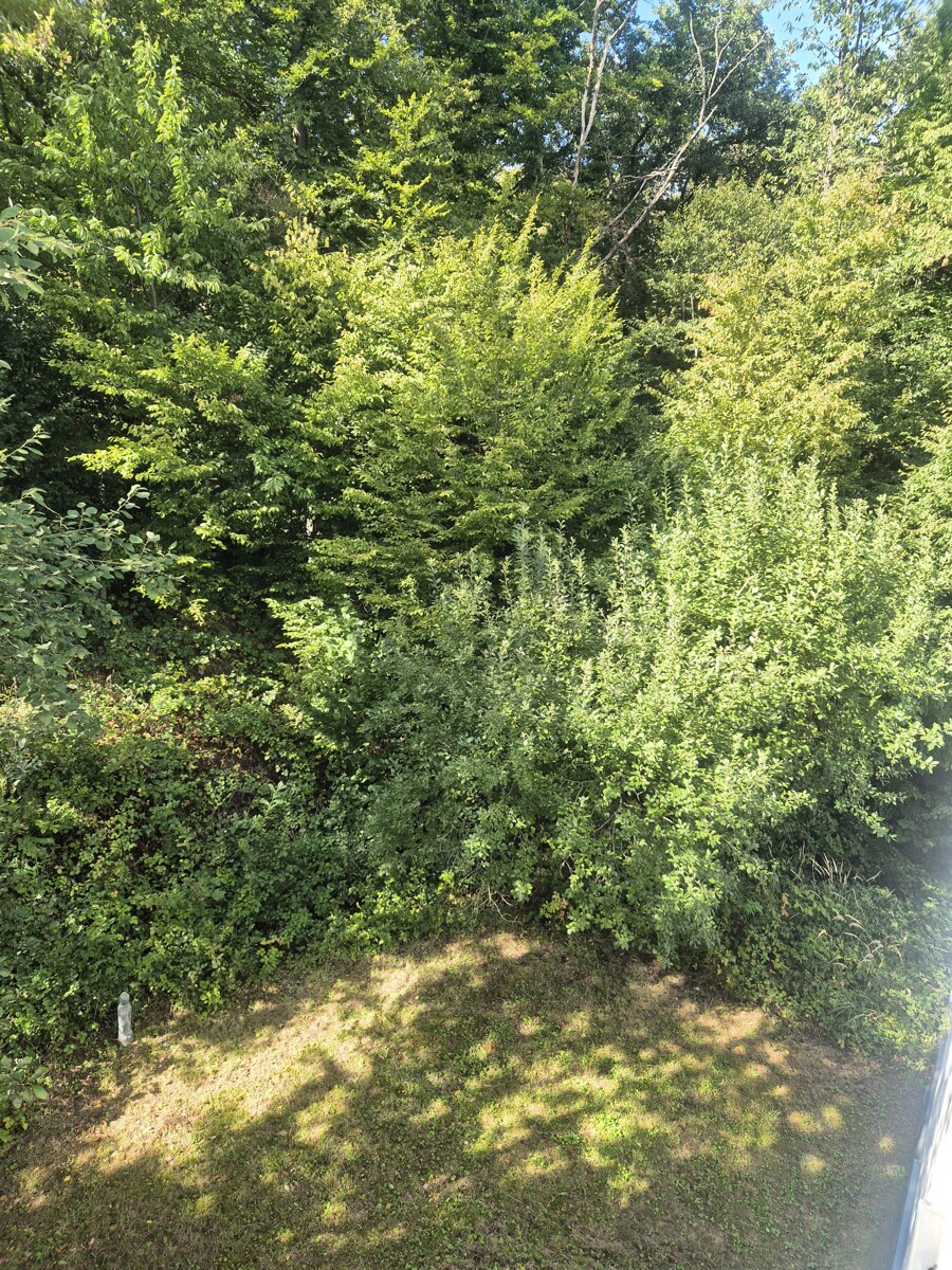 ...mit Ausgang zum Garten