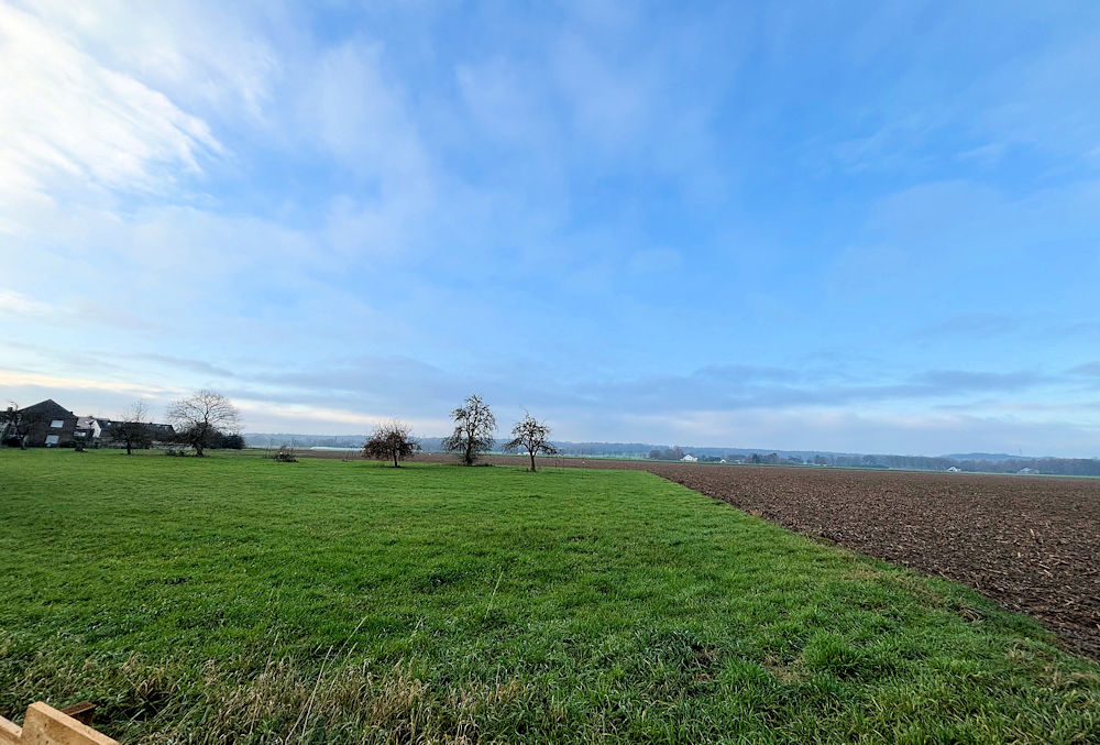 Foto der Immobilie (133117)