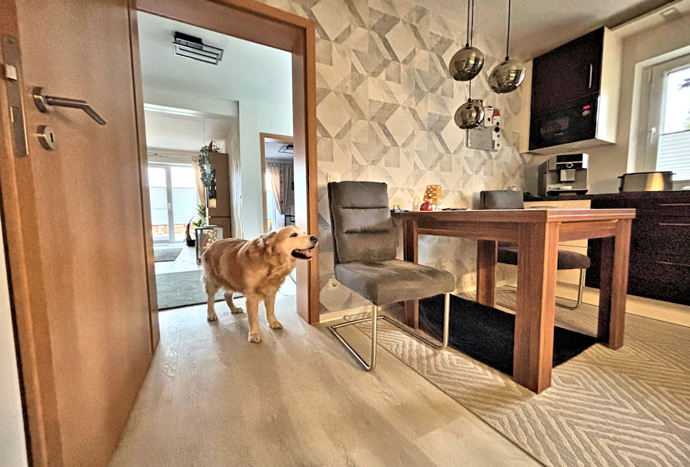 Foto der Immobilie (133125)