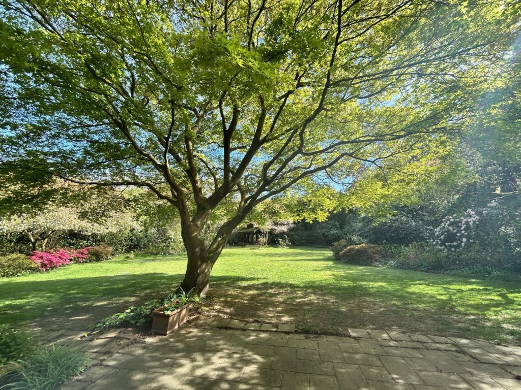 Blick in den Garten