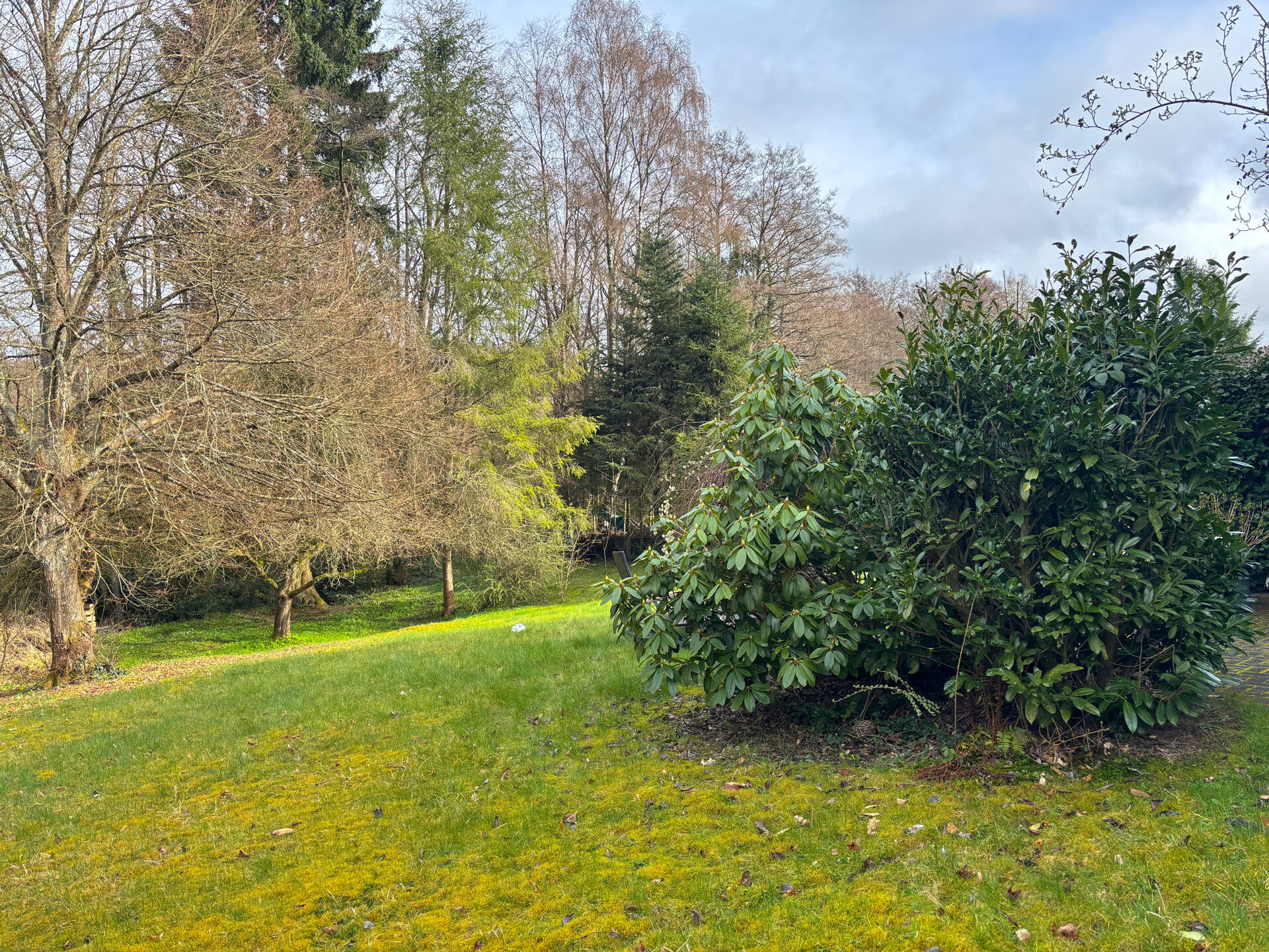 Grundstücksansicht