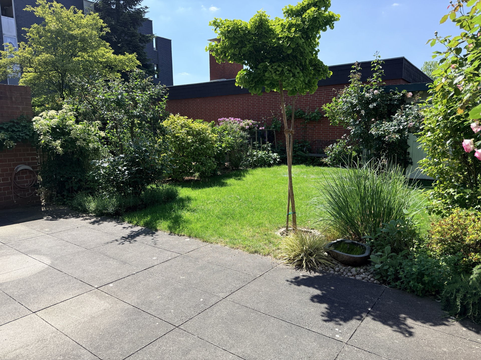 Terrasse + Garten