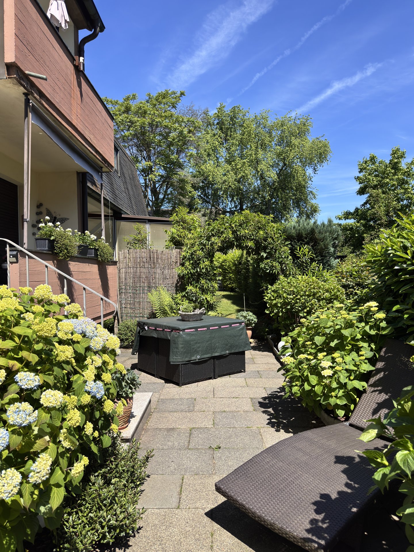 Altbau - Balkon und Terrasse EG
