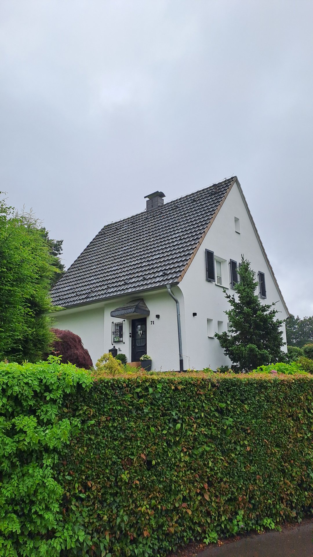 Foto der Immobilie (153046)