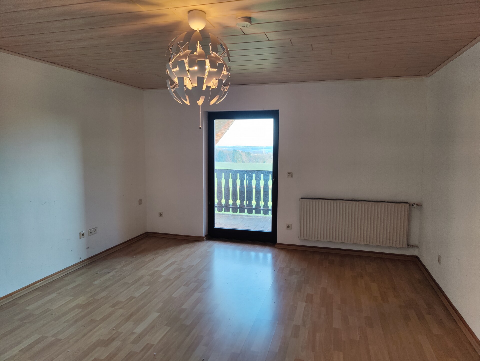 Zimmer DG