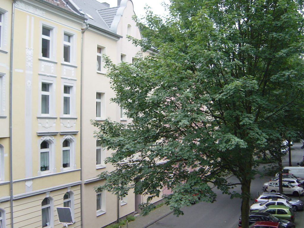 Foto der Immobilie (161653)