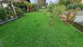 Blick in den Garten