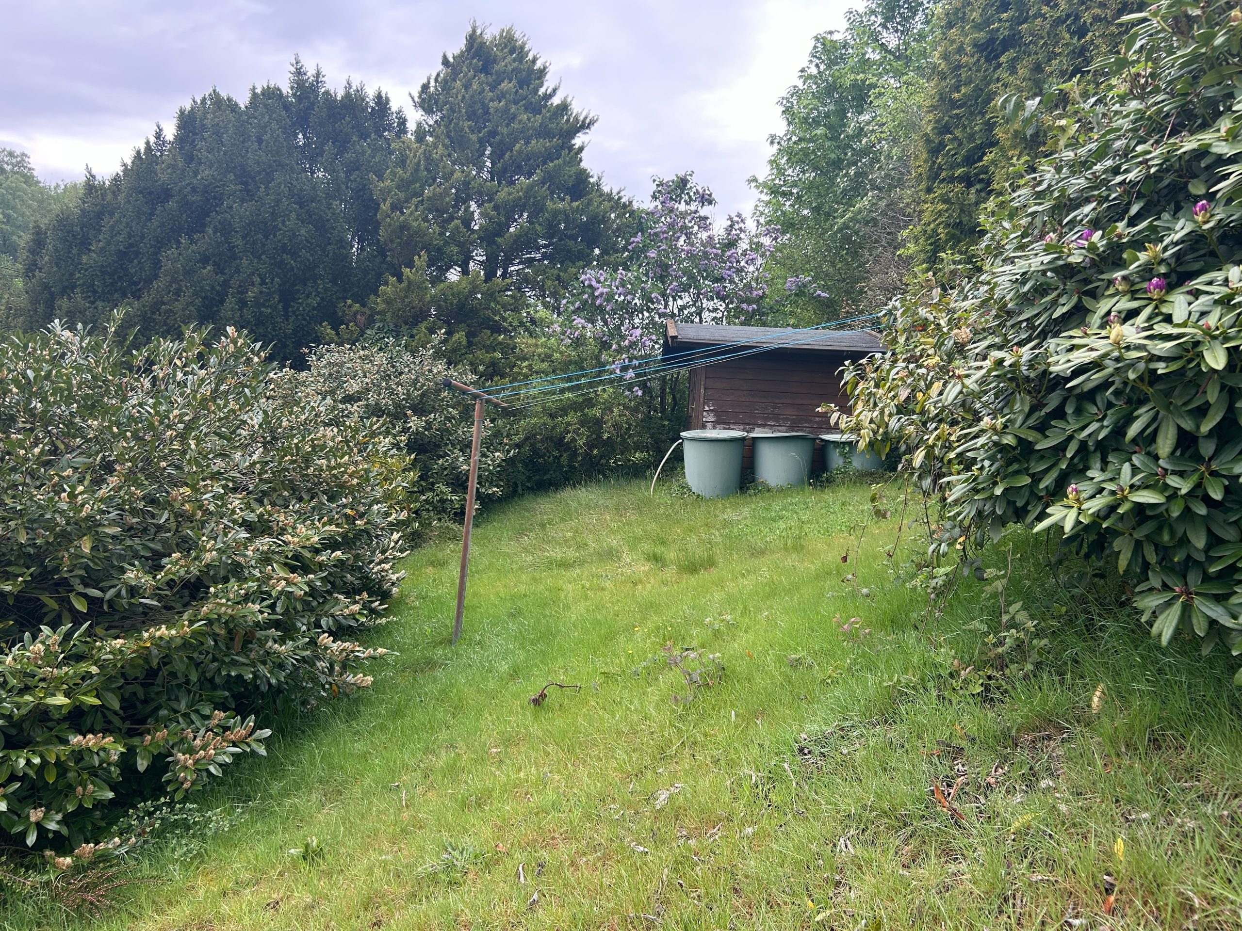 Oberer Bereich des GrundstĂŒckes