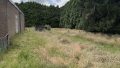 Wiesenfläche hinter dem Haus