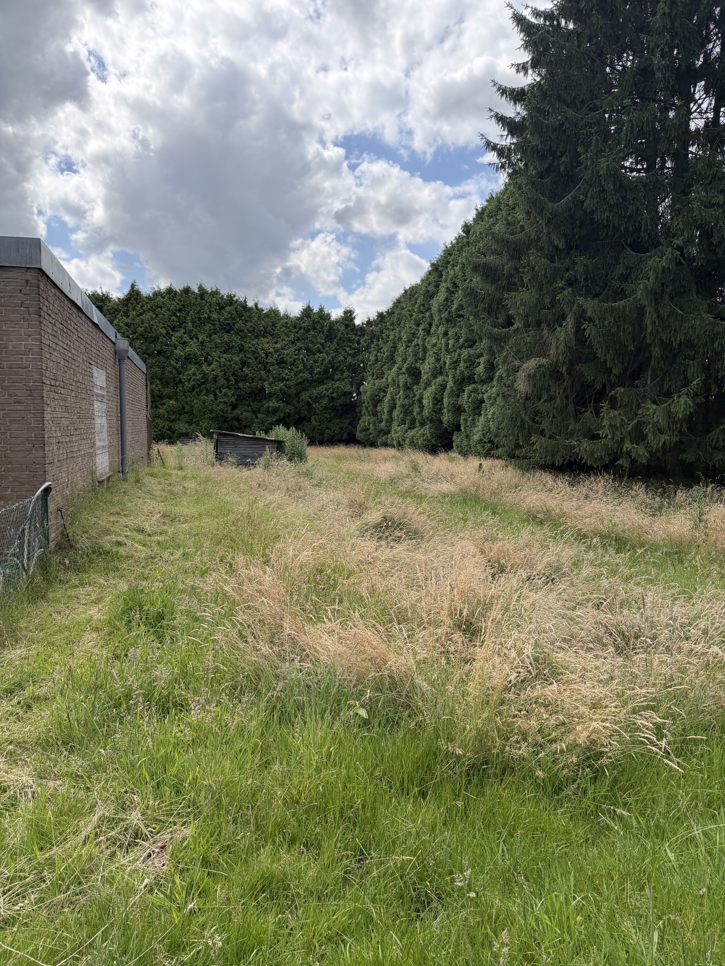 Wiesenfläche hinter dem Haus