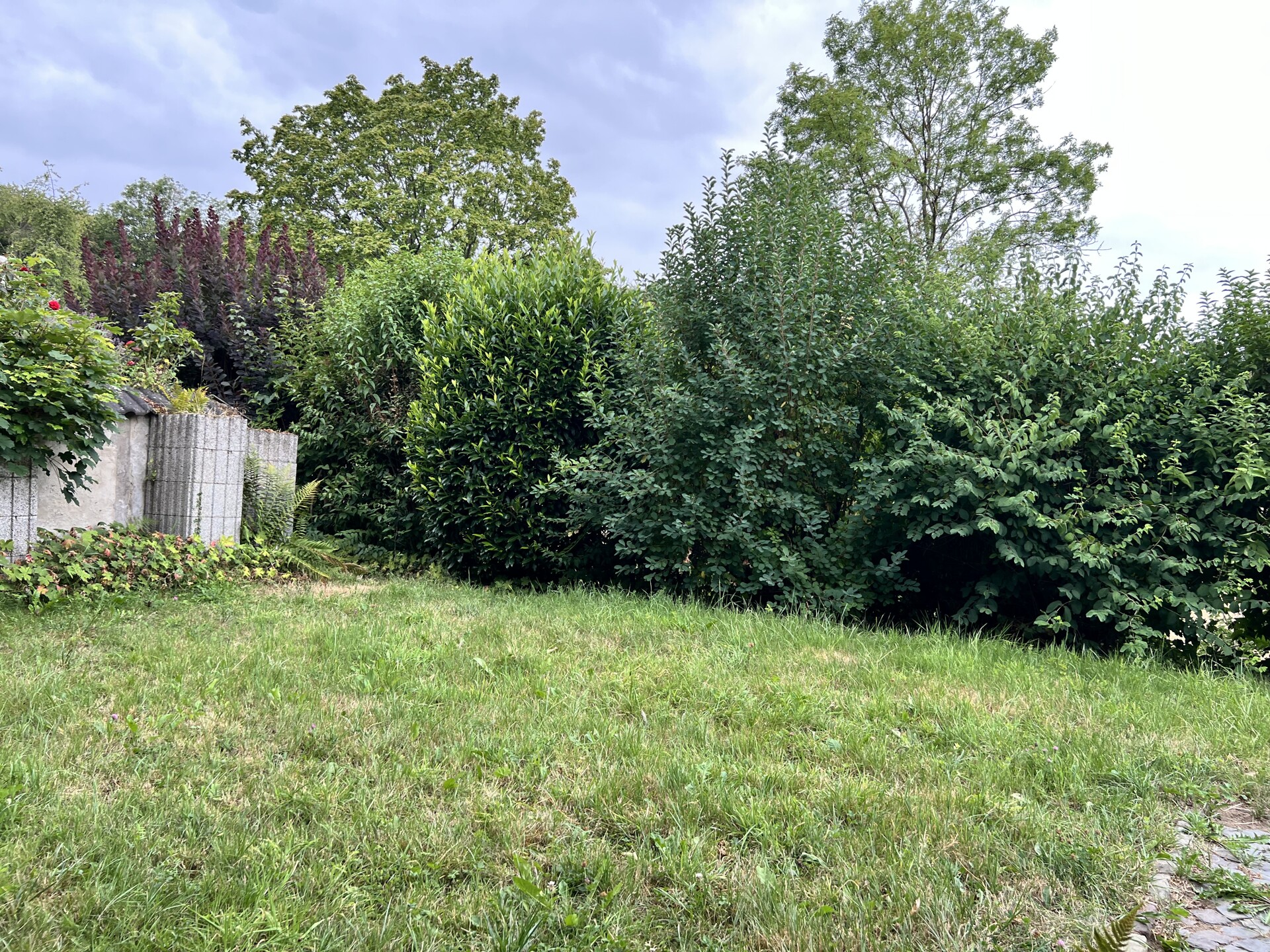 Zugehörige Gartenfläche